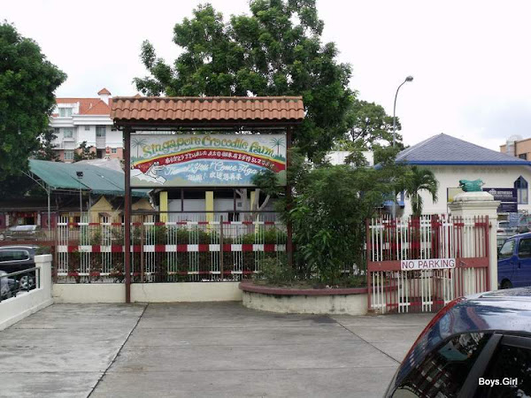 SengkangBabies: Visit to Singapore Crocodile Farm