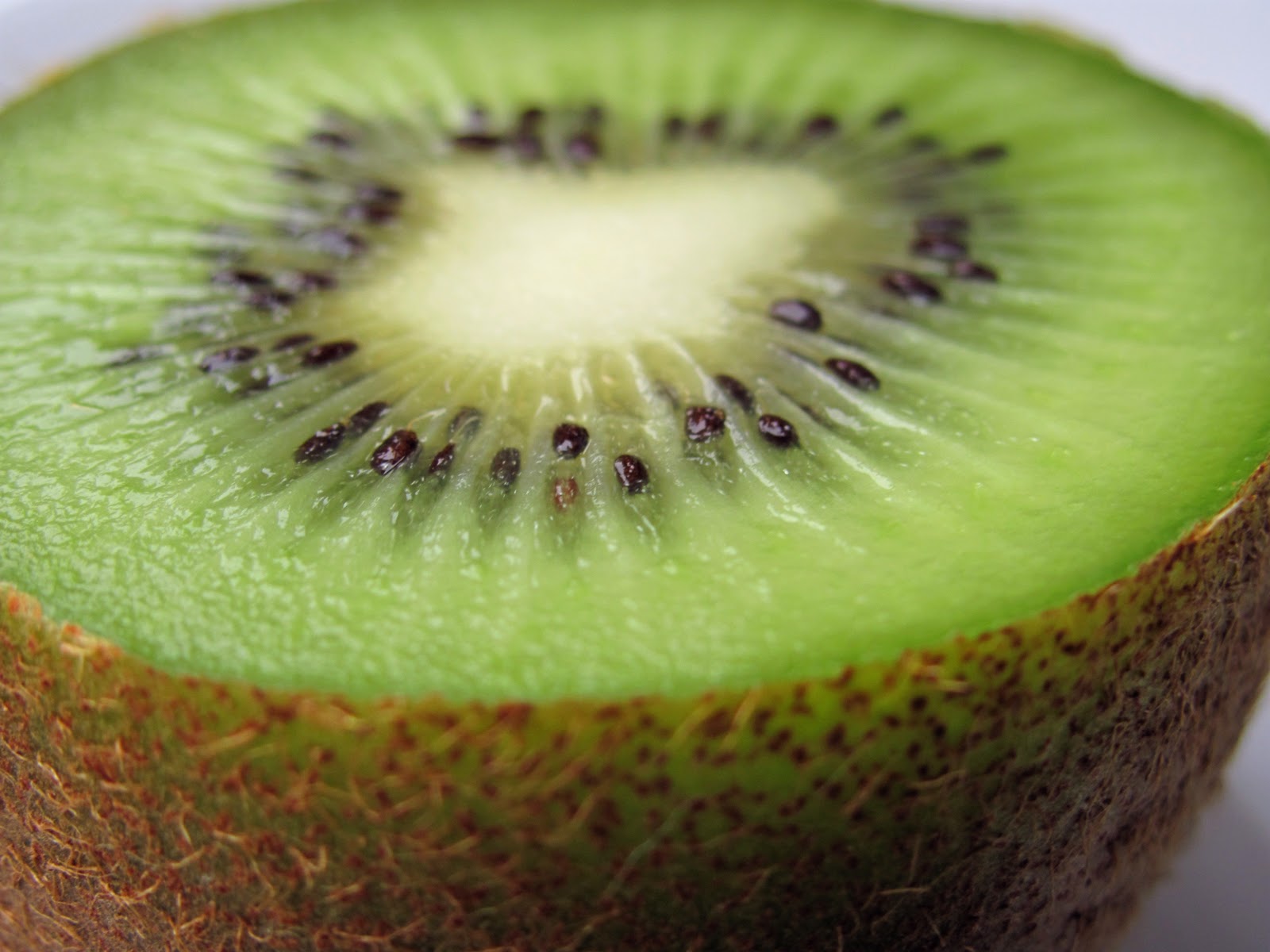 roxana and her photographs Heart of a Kiwi