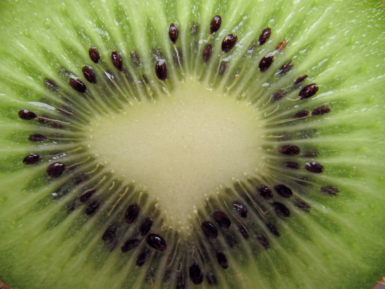 roxana and her photographs Heart of a Kiwi