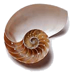[snail.png]