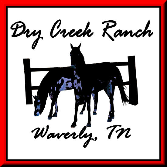 Dry Creek Ranch