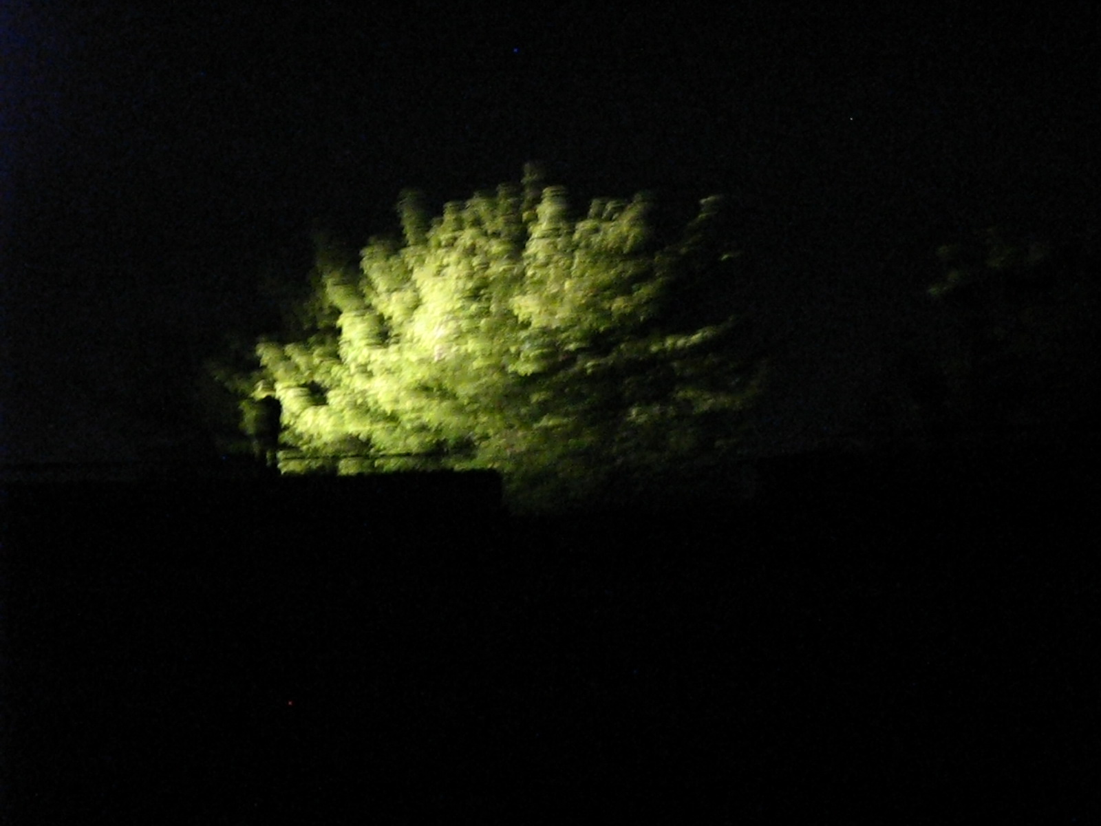[IMG_8528.JPG]