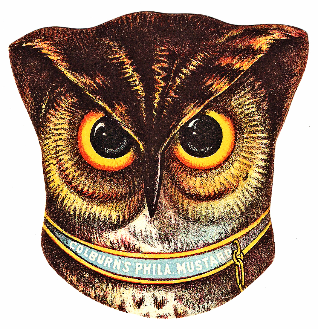 clipart vintage owl - photo #31