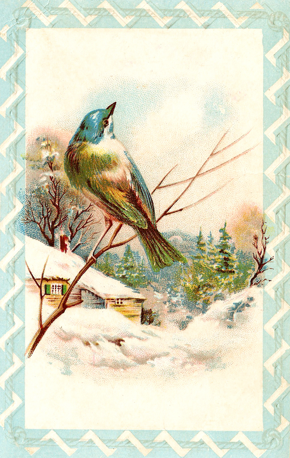 winter birds clipart - photo #27