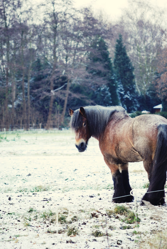 sweet-art-jesus-the-way-the-truth-and-the-life