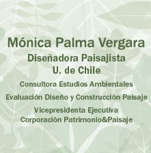 Blog de Monica Palma Vergara. Chile
