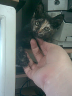 Whatever Happened To Lotta Topp