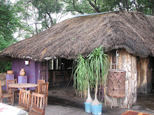 Hippo Lodge
