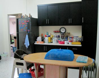 Kitchen Cabinet Plants Kitchen Cabinet Plants
