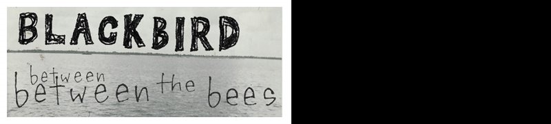 Between the Bees