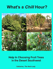 What's A Chill Hour? Help In Choosing Fruit Trees in The Desert Southwest