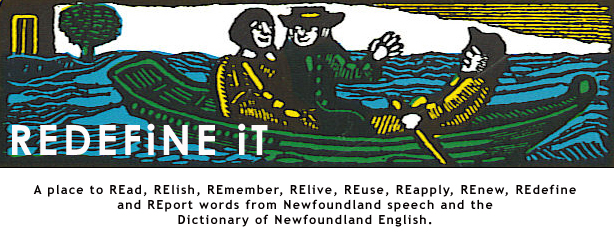 REDEFiNE iT: Dictionary of Newfoundland English