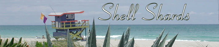 Shell Shards