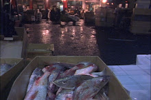 Fulton Fish Market