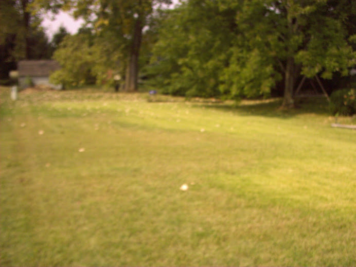 Fall 2007