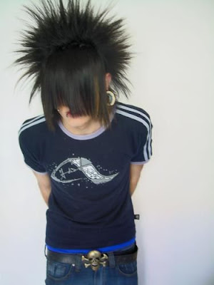 Emo Scene Hairstyle: 2010 Straight Emo Hairstyles for 