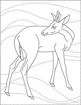 Nicole's Free Coloring Pages: 2011