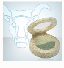 [taurus.jpg]