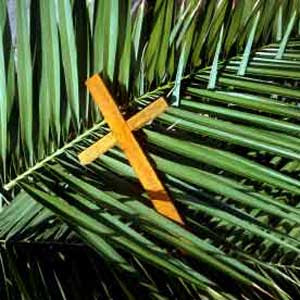 [Image: palm-sunday-usa%5B1%5D.jpg]