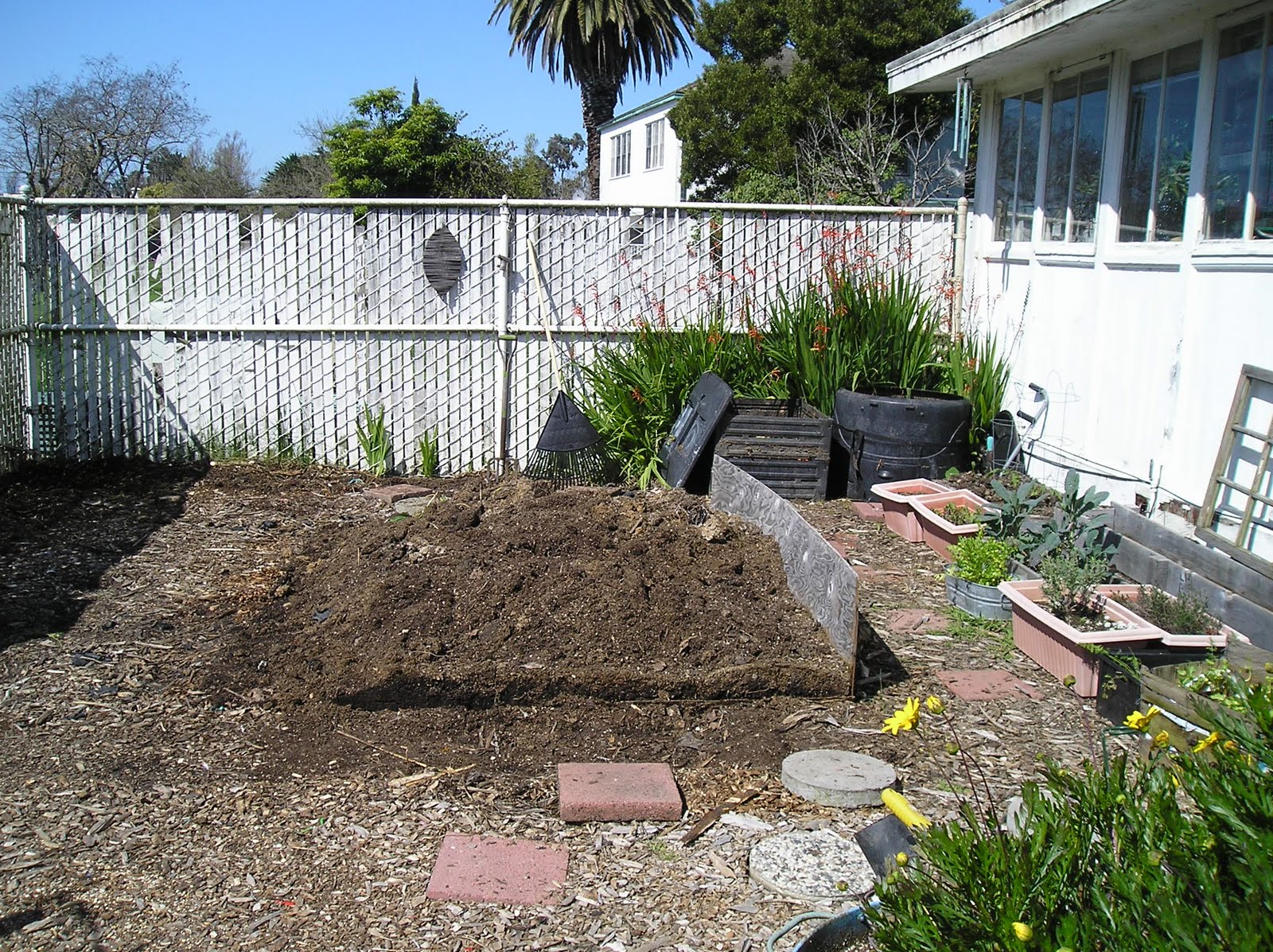 [garden+002.JPG]
