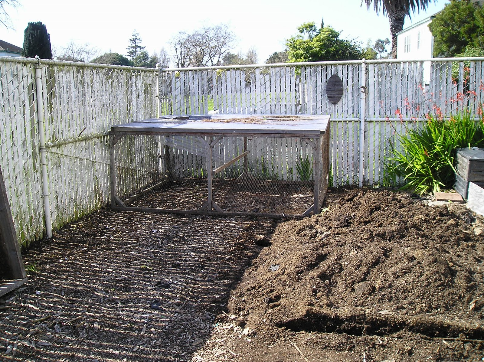 [garden+004.JPG]