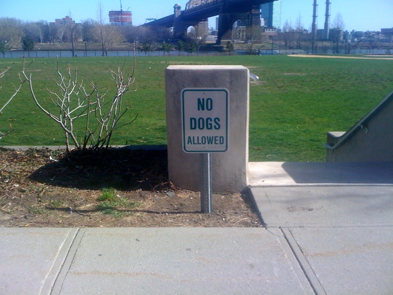 Roosevelt Islander Online Roosevelt Island, A Land Without Dogs No