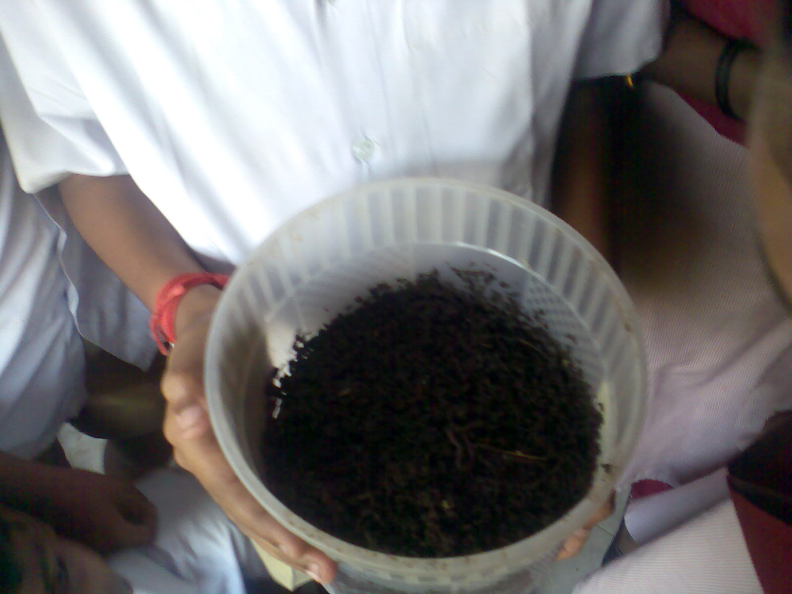 literature review of vermiculture project