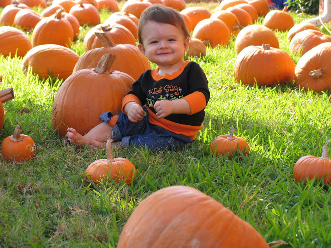 Babe in pumpkins