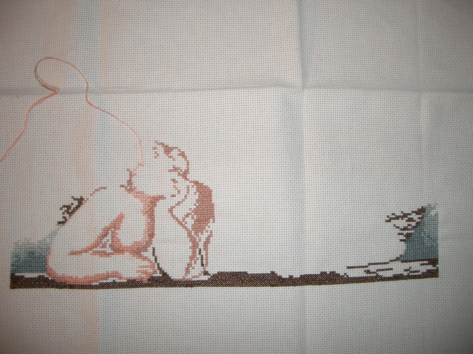 [CIMG2948.JPG]