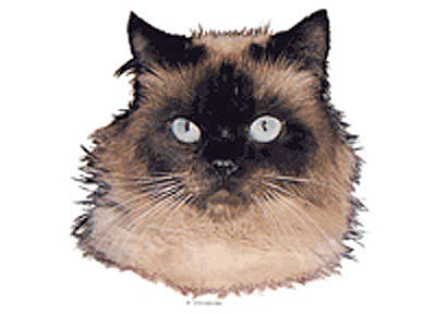 [sticker_colourpoint.jpg]