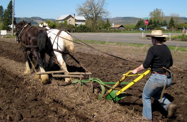 Farm Blog: Nice article for the upcomming plowing competition