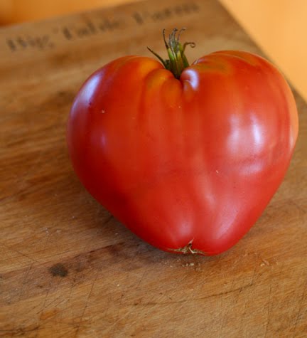[tomato.jpg]