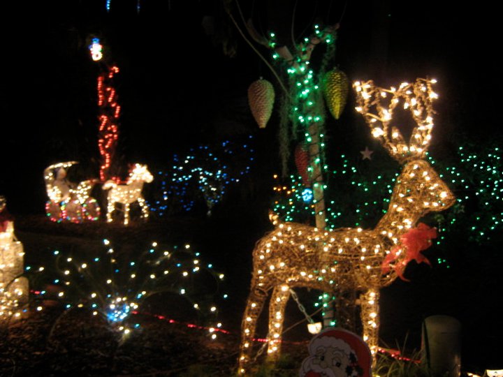 Hilton Head Island Real Estate It's Tradition on Hilton Head The