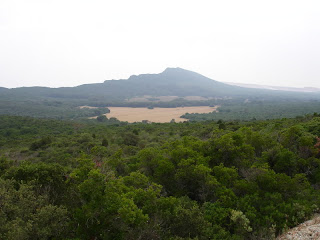 PirilamposRafael051.jpg