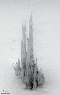 Un polímero que parece una Sagrada Familia microscópica [Foto: Irene Fernández Cuesta, CSIC]