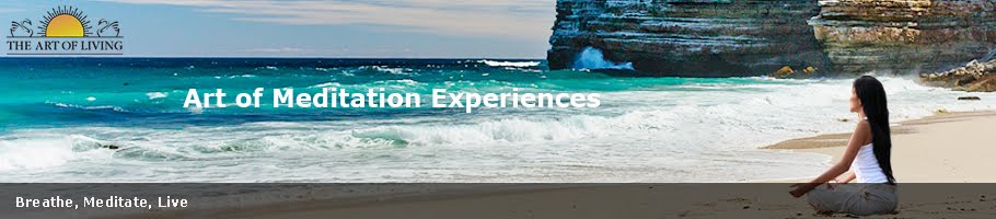 Art of Meditation Experiences