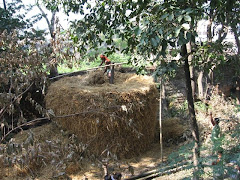 building the straw stack