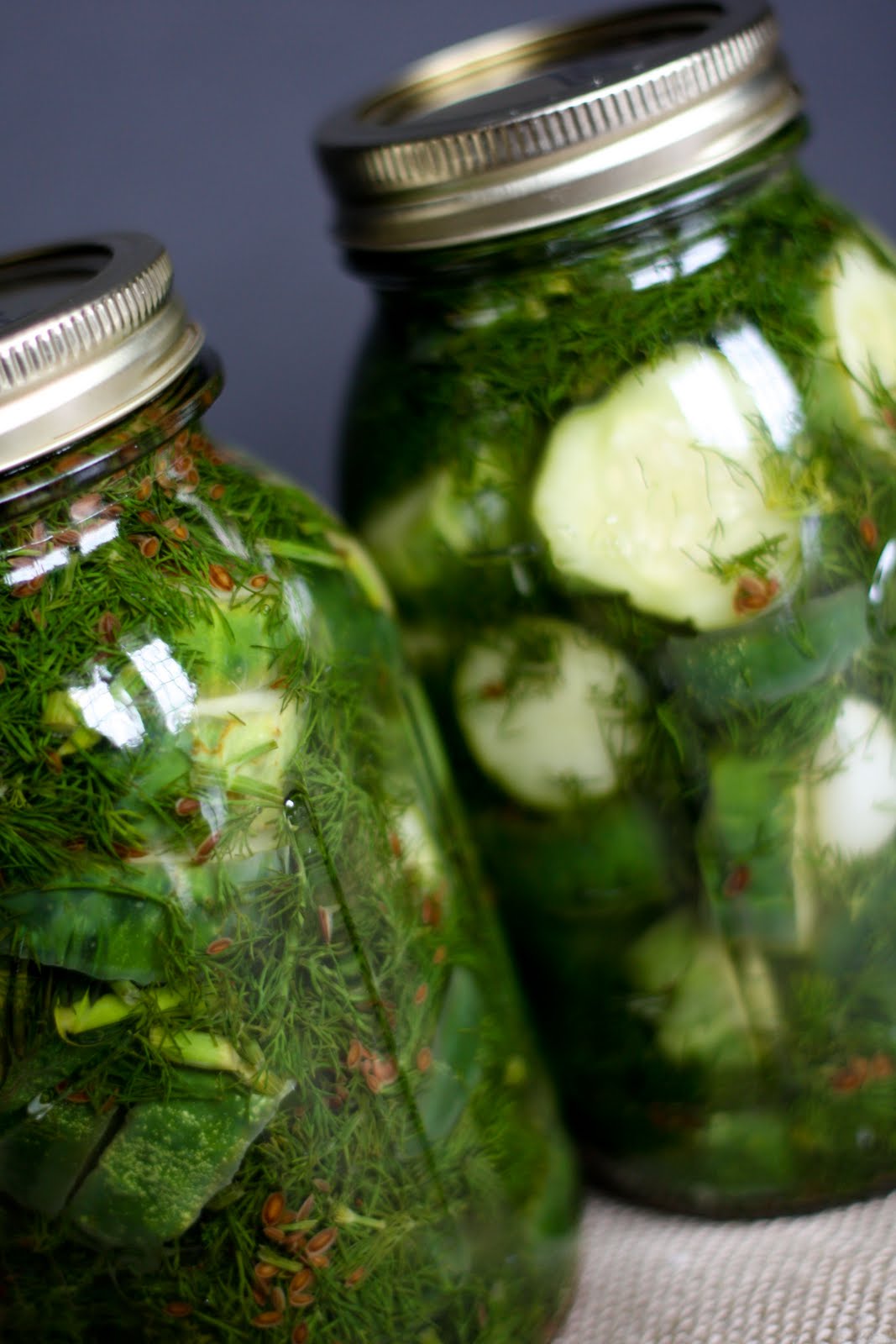 Casual Cuisine Dill pickle chips