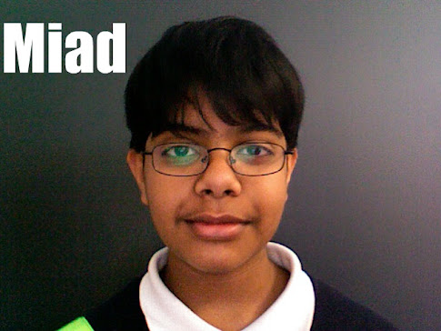 Website Manager-Miad