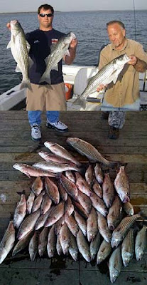 Lake Texoma striper fishing guide Brian Pricard, Lake Texoma Fishing Report