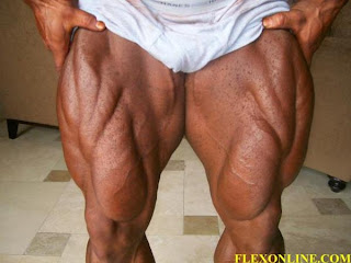 pernas-jay.jpg
