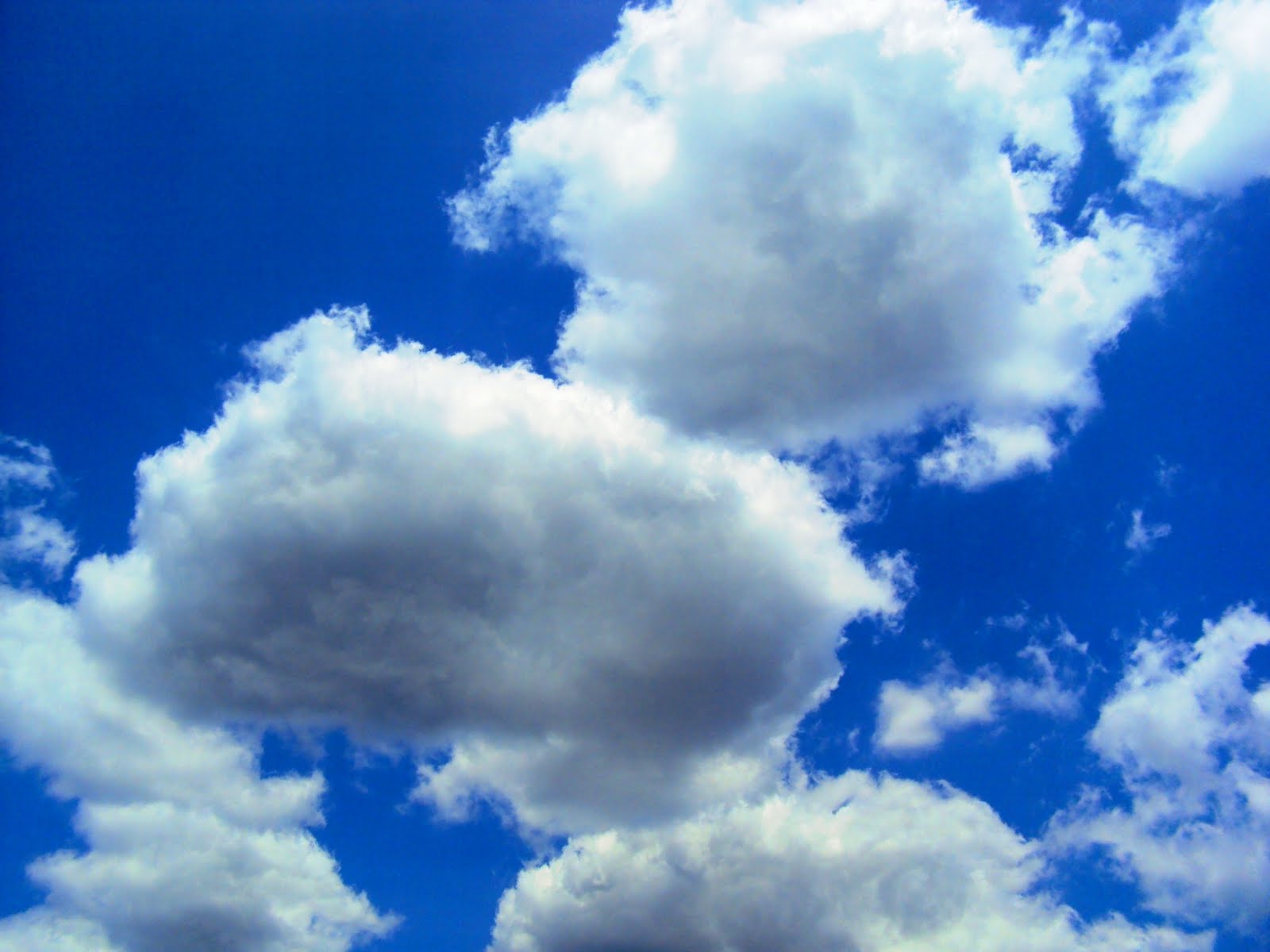 Cloudy sky steam фото 96