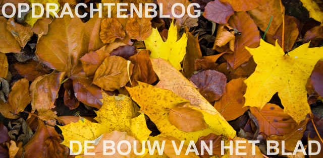 De bouw van het blad