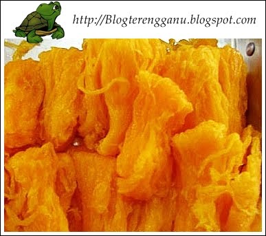 Resepi Tok Wan Kuih Jala Mas Blog Terengganu