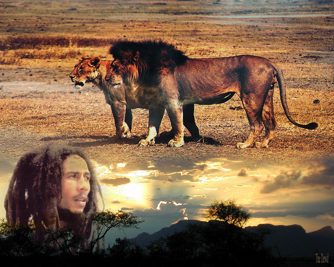 http://4.bp.blogspot.com/_NfL3G9J_JlA/TJ840zpXqPI/AAAAAAAAAF8/fmBT8PuMBGY/s1600/Bob_Marley-lion-judah-god.jpg