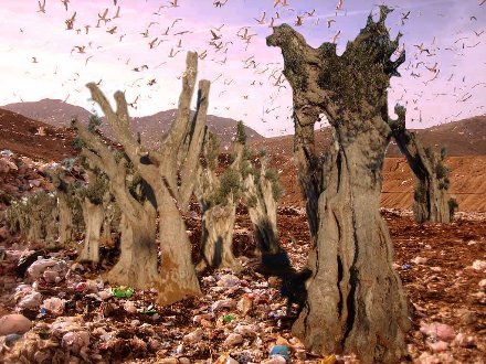 [come_ti_discarico_la_puglia.jpeg]