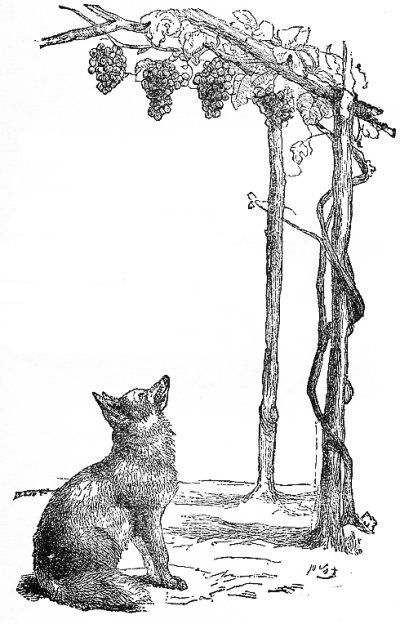 [The_Fox_and_the_Grapes.jpg]