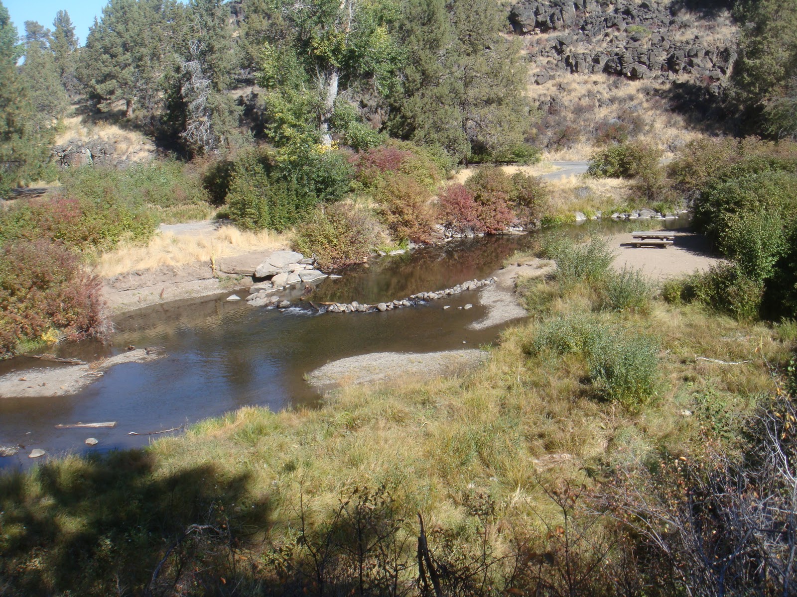 THE ROAD TAKEN Morning at Sprague River Park Sept 27
