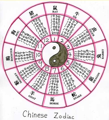 Empty Nest Evolution: Chinese New Year