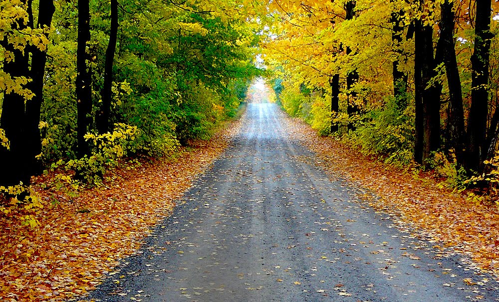 Text about autumn. инсталляция осень. Fall thinking. Leaves are falling стих. осенние листья на прищепках.